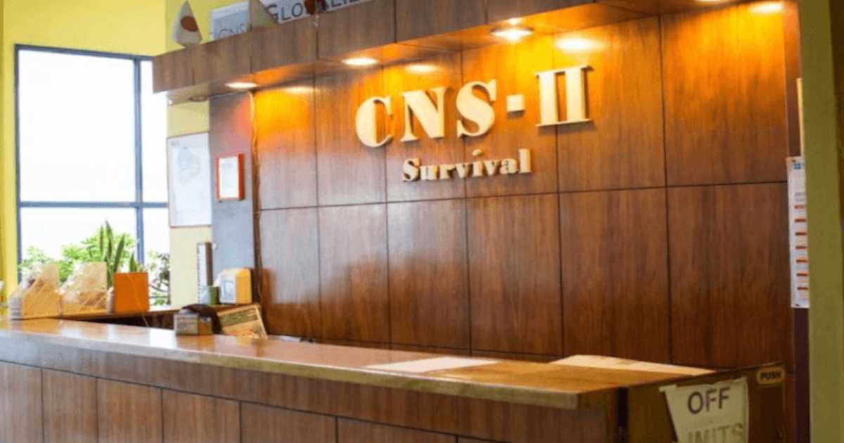 CNS2语言学校